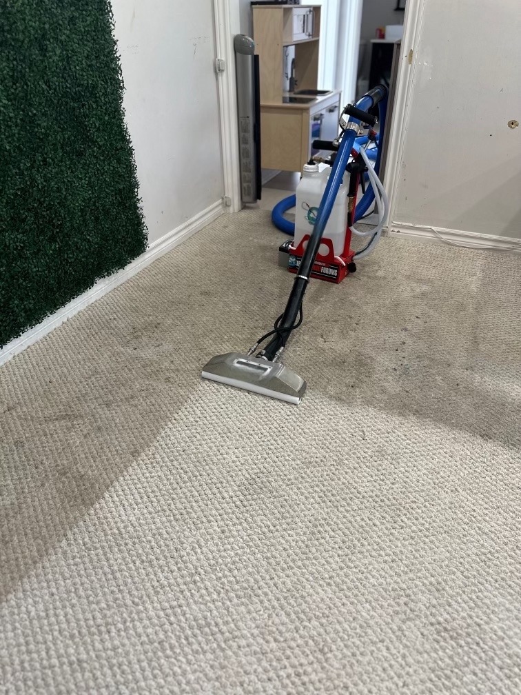 Tapis en cours de nettoyage